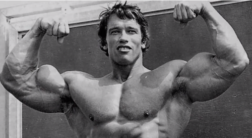 steadymirin:  always reblog arnold.