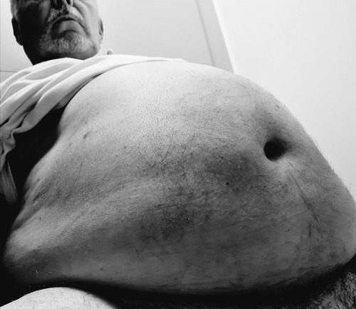 Black And White Obese Hog