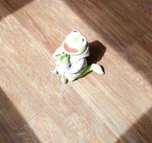 Clown Frog Cult May Actually Get A Book On How To Worship Help