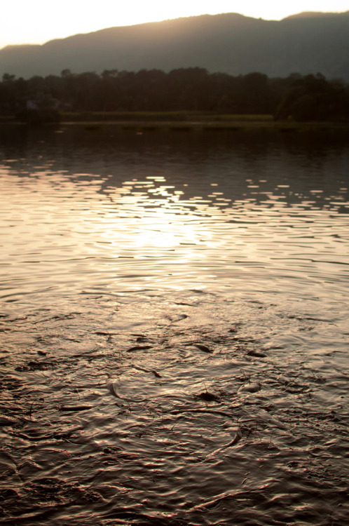 kumbhalgarh lake