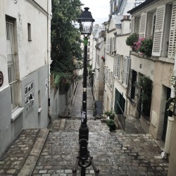 timid:  Paris is full of hidden beauties  