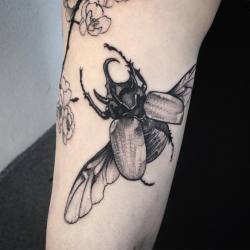 mary-madeleine:  Details 🌸🌸🌸 #blackworkers_tattoo #tattrx #scarabtattoo #scarab #btattooing #blackworkerssubmission #dotwork #dotworktattoo #blxckink #inkedmag #tattoo #blackstarstudio #darkartists #tattoosnob #neotradsub 