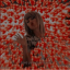 whatwouldtaylordo
