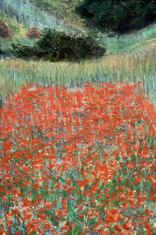 Claude Monet aka Claude Oscar Monet (French, 1840–1926, b. Paris, France) - Poppy Field In A Hollow 