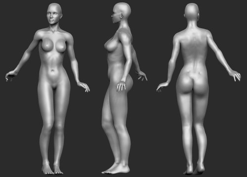 fucktonofanatomyreferences:  fucktonofanatomytutorials:  Uber-fuck-ton of 3D female anatomy references.  (Reblogging ‘cause it’s not showing on my dash.) 