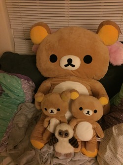 alexinspankingland:  Meet Chubber and her cubs, Fathead and Double Fats. Hibou is in this picture too bc he insisted, and to show scale between the littlest, fluffiest owl and the biggest, bestest bear. 🐻🐻🐻  Waaaaah I love Chubber so much. Thank