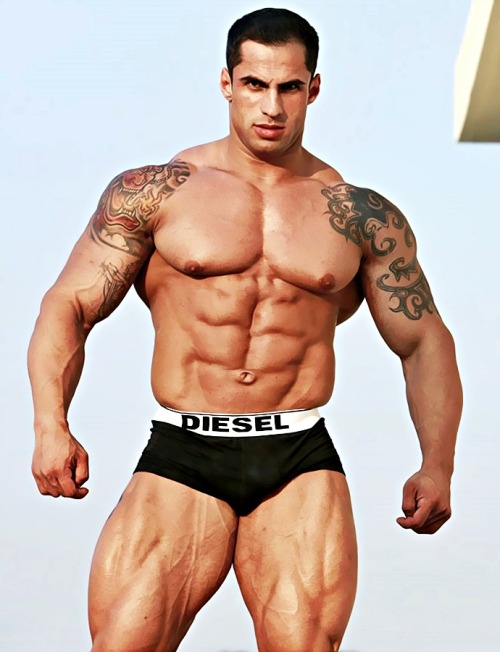 Samuel Vieira.