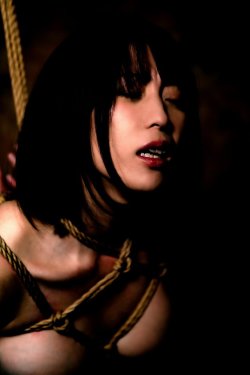 thevertigonetwork:Shibari &amp; Photo TessinModel Momose Yuri