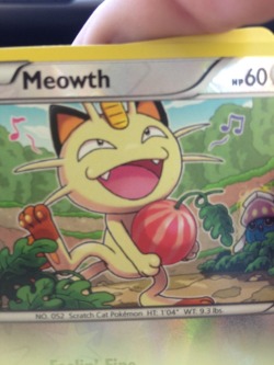 prepareforetrouble:  OmG meowth 