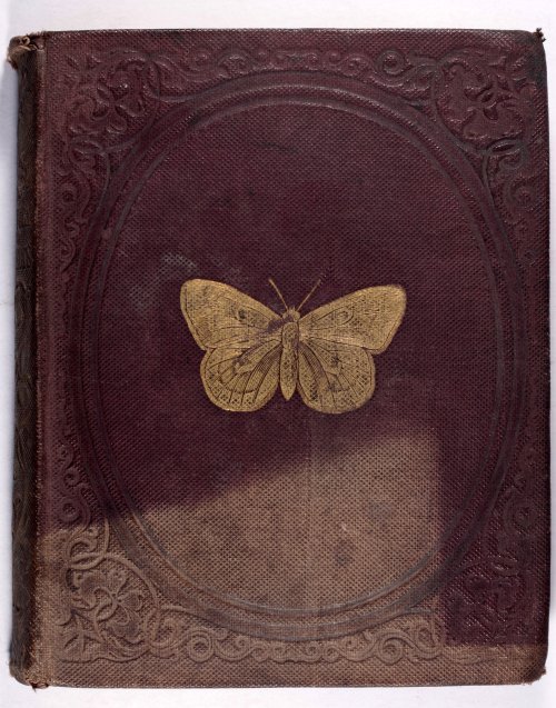 michaelmoonsbookshop:michaelmoonsbookshop:Natural History of Insects 1842[Sold]