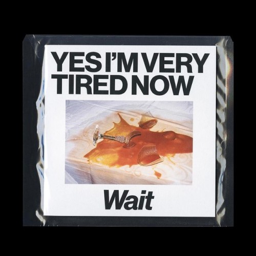 jamesusilljournal: YES I’M VERY TIRED NOW - Wait Album Artwork, Dominick Junker, 2017