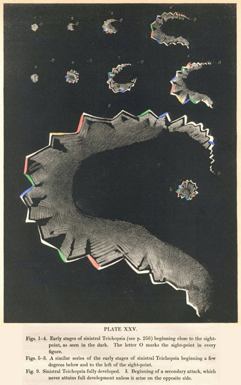 transoptic:Hubert Airy, Diagram of his migraine aura. 1870.