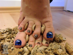 leandrastootsies:  COOKIES! (Part 2)My tootsies love them, hope you too :D