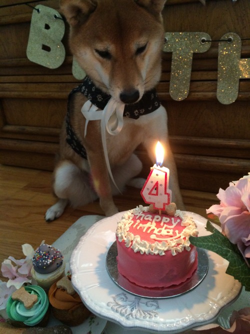 baby-eevee:Happy 4th birthday to me!!!