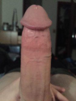 bigcockmeat:  Message me ;)?