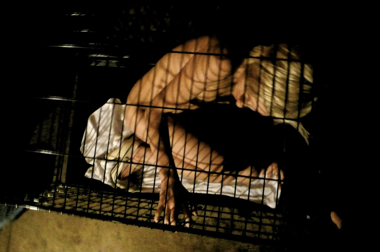 I received the new slave yesterday. I let her sleeping after her long trip and I&rsquo;ll