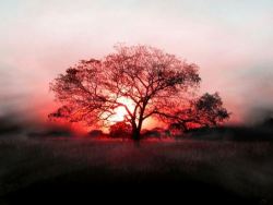 Beautiful Natural Scene | Beautiful Cool Wallpapers En We Heart It. Http://Weheartit.com/Entry/74356499/Via/Patriesz