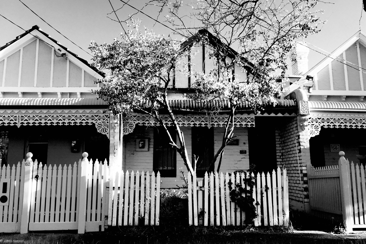 darausm: neighbors  fitzroy north | september 2017  Copyright © Daraus M. All rights