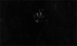 rayfisher:Wakanda will no longer watch from the shadows. We cannot. We must not. We will work to be 