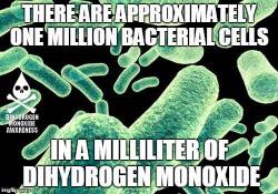 dihydrogenmonoxideawareness:  Gross!  