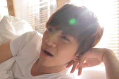 alohomorashlie:  #ashlie look   #okay so   #this is him   #after he plops onto