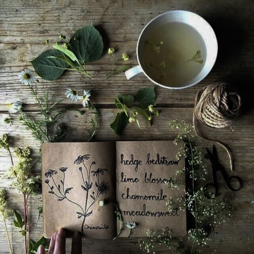 black-raven200: Tea and Village Plant Witch Aesthetic requested by anon