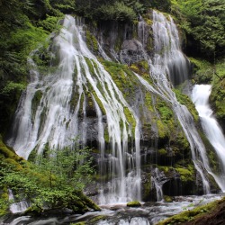 trailthesun:  Panther Creek Falls | Trail