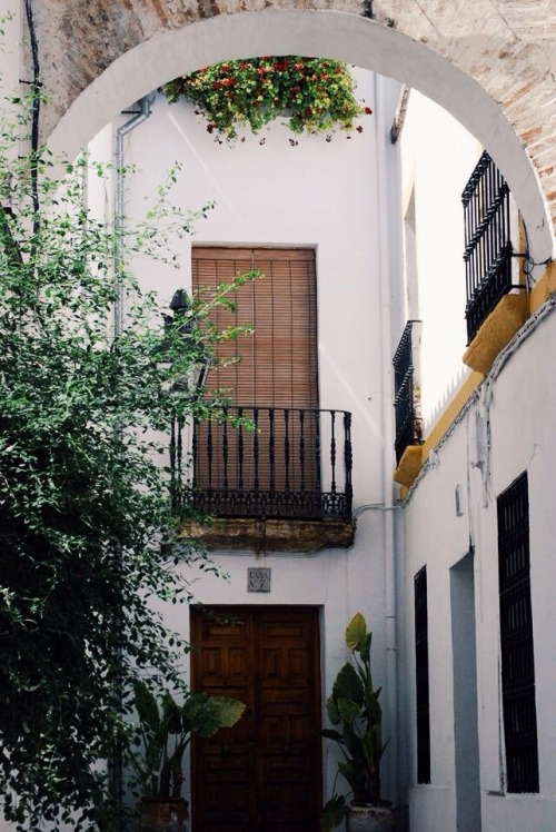 crimsonvein:Cordoba is a beautiful city