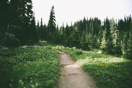 hannahkemp:Hiking in WashingtonPrints//Instagram