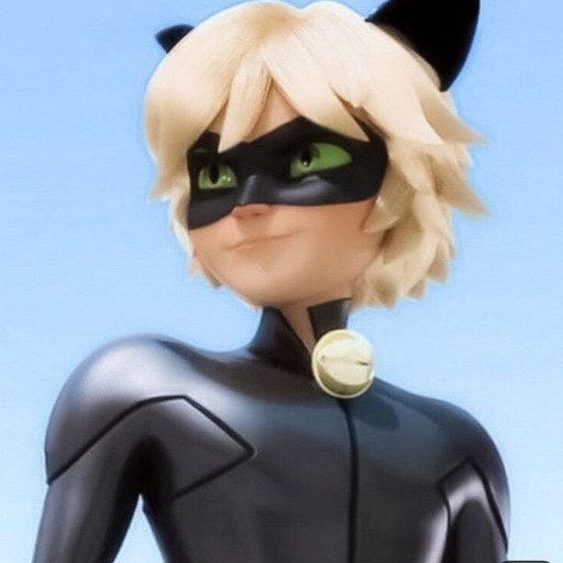 snacc-noir:Marinette: What do you want for