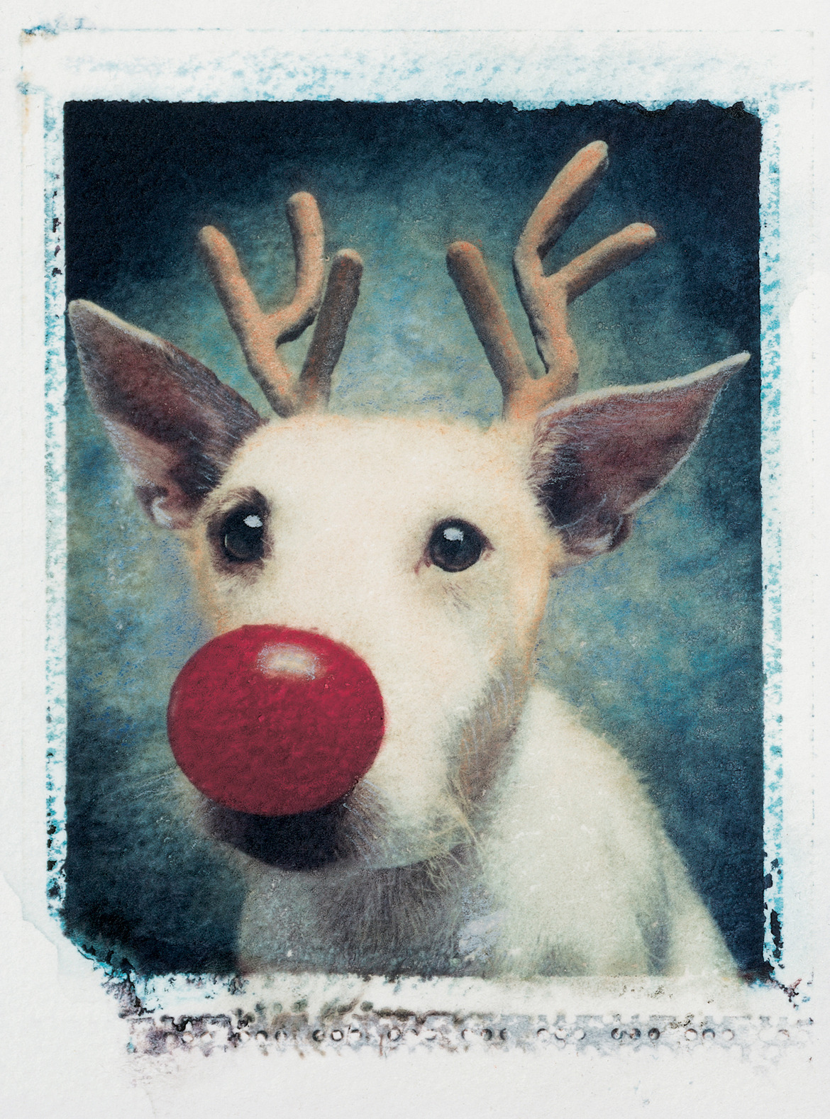 welele:  Peter Thorpe tiene la tradición de disfrazar a su perro por navidad En