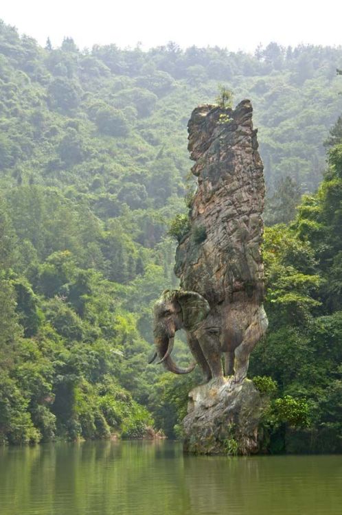 sanatkaravani:  Elephant Rock sculpture, India.