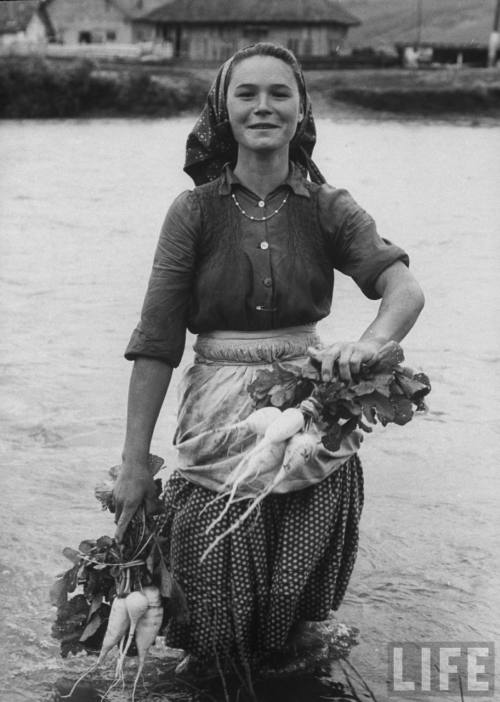 Girl farm worker washing turnips in the river on a collective farm. Photograph by Paul Schutzer. Rom