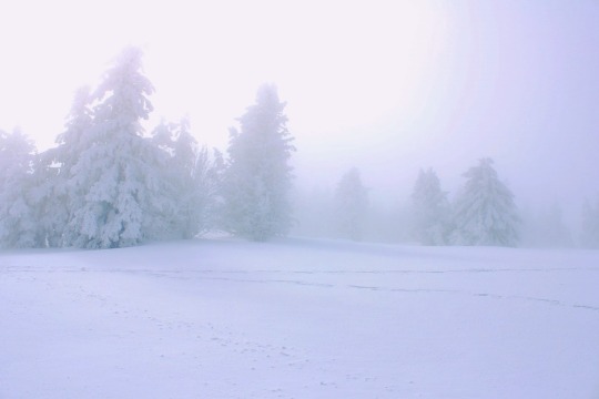 mountain-spirits-deactivated202:winter’s ghost 