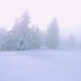 mountain-spirits-deactivated202:winter’s ghost 