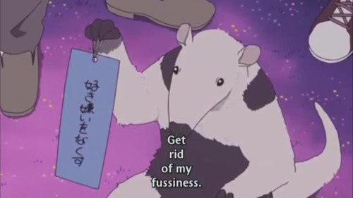 everyonesamadao:  Animals have adorable wishes  