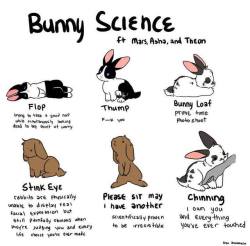 bunsxbunsxbuns:  Bunny Science (by Alex Nakamura)