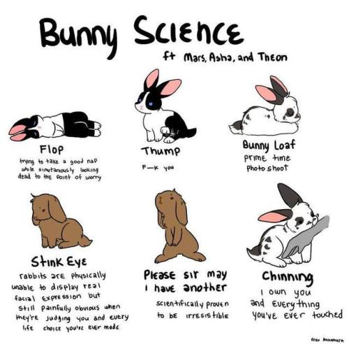 bunsxbunsxbuns:  Bunny Science (by Alex Nakamura) porn pictures