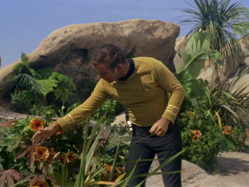 010011010100101001001101:Star Trek: Plants