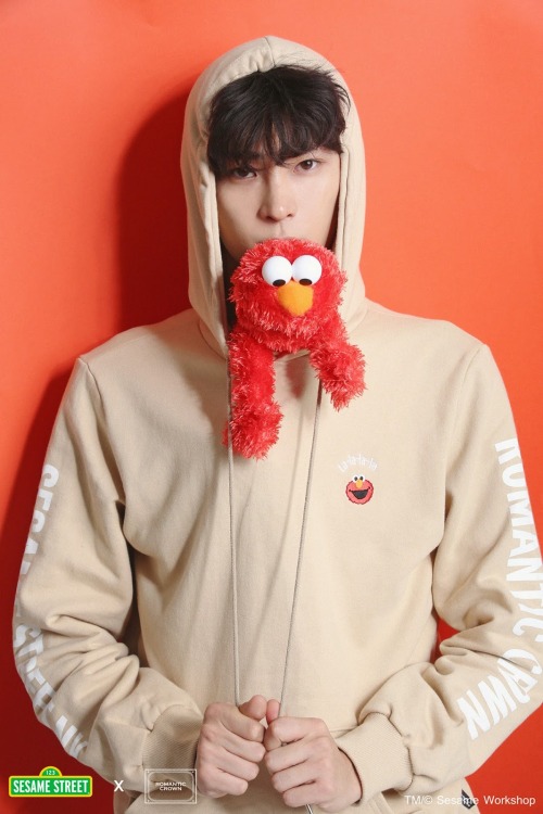 Ryu Sanghee for Sesame Street X Romantic Crown lookbook (via: agencygarten)