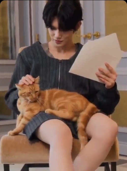 Reblogging Again (on This Blog) To Say That When I Saw The Txt X Cat Dior Video, My First Thought Was