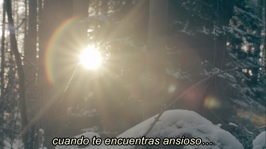 chica-s-u-i-c-i-d-a:  - 