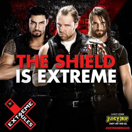 usosbellasshield:  The Shield will DESTROY Evolution! The future is now and that is Ambrose, Rollins and Reigns!! Believe that and believe in the shield!  And they just put out the old dogs into the pasture minutes ago.