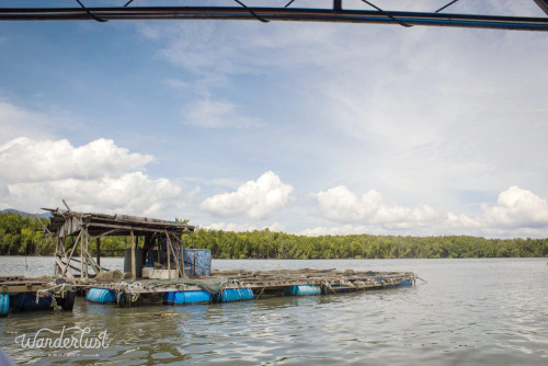the-wanderlustproject:  Visited a fishing farm on the Sungei Merebok river in Kedah, Malaysia. 