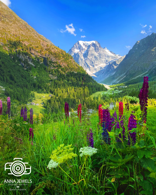 Arolla - Switzerland (by Anna Jewels (@earthpeek)) https://instagram.com/earthpeek