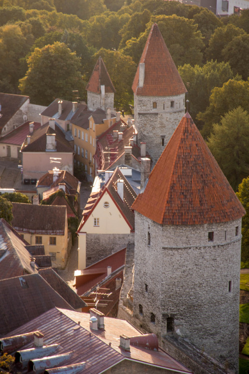 breathtakingdestinations: Tallinn - Estonia (by Tomasz Dunn) 