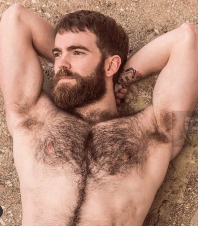 pitcollector: