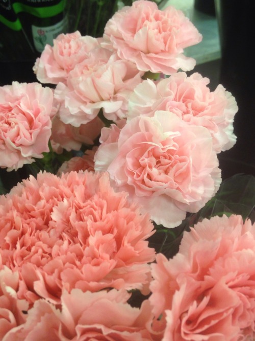 rurigokou:grocery store carnations i wish i could have