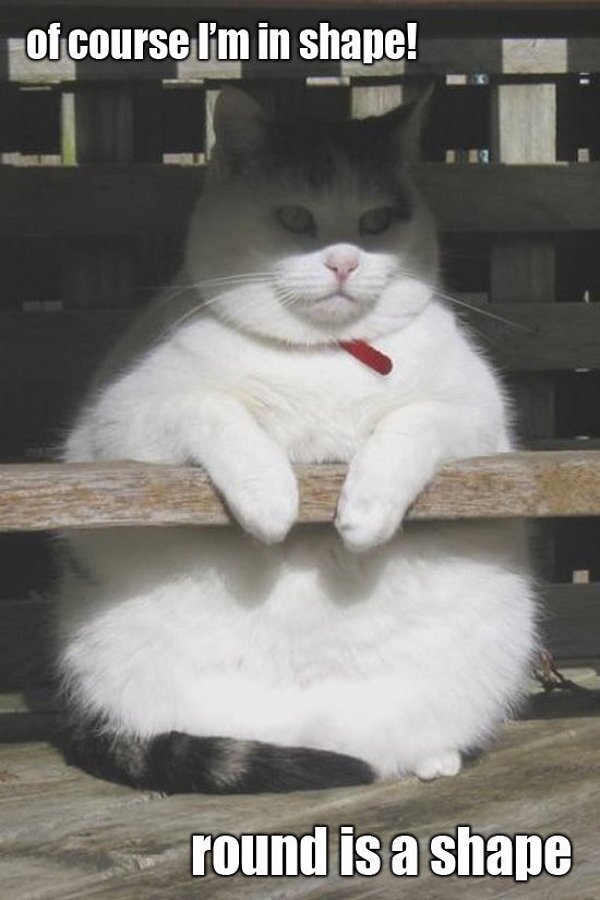 death-by-lulz:   My lovely followers, please follow this blog immediately! 