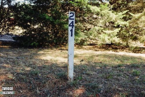 curiosa-obscura: @anomalysquiggles 241 the things we see when we are out n aboutfollow us for more h